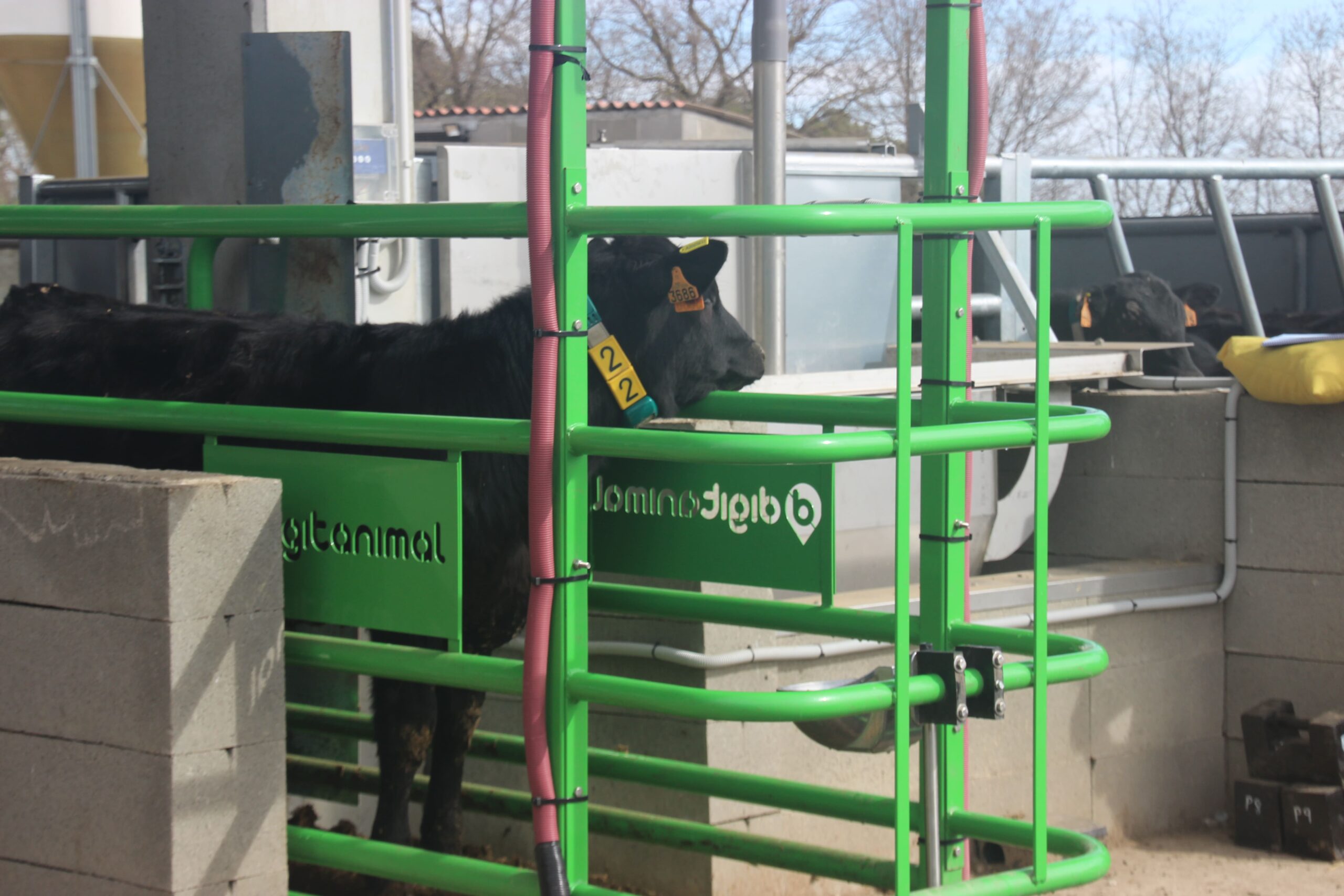 Smartbeef