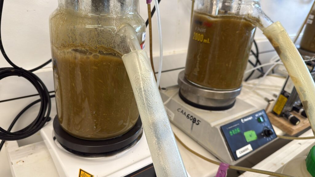 Methanless