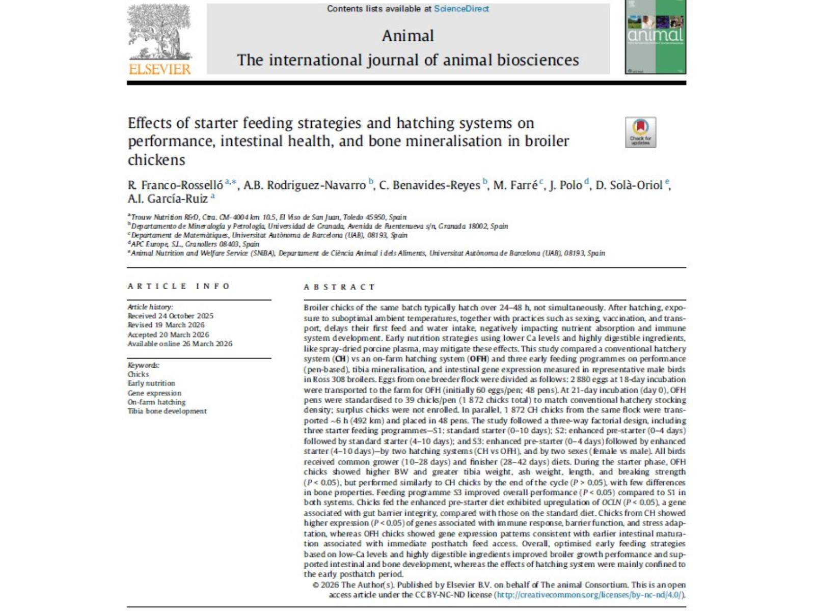 Effects of starter feeding strategies and hatching systems on performance, intestinal health, and bone mineralisation in broiler chickens